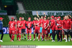  拜仁慕尼黑刷新德甲同期积分历史新高  